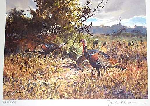 1987 texas turkey stamp print by ken carlson with stamp